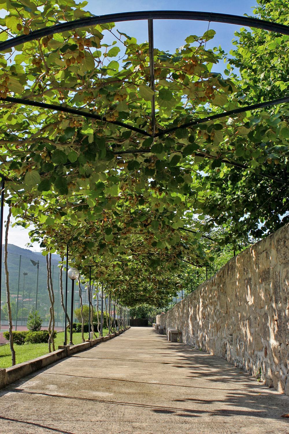 Hotel Boavista I Melgaço Buitenkant foto
